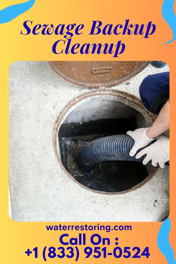 Sewage Backup Cleanup in Pablo Pena, TX